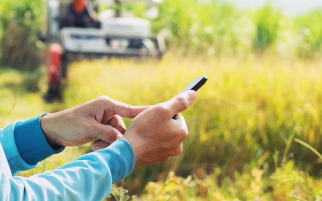 OAD en viticulture : définition, utilité et innovation avec Viti-Tunnel TNT Protect